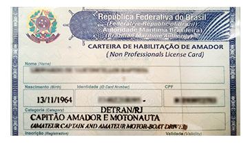 carteira sem bg